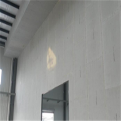自流井宁波ALC板|EPS加气板隔墙与混凝土整浇联接的实验研讨